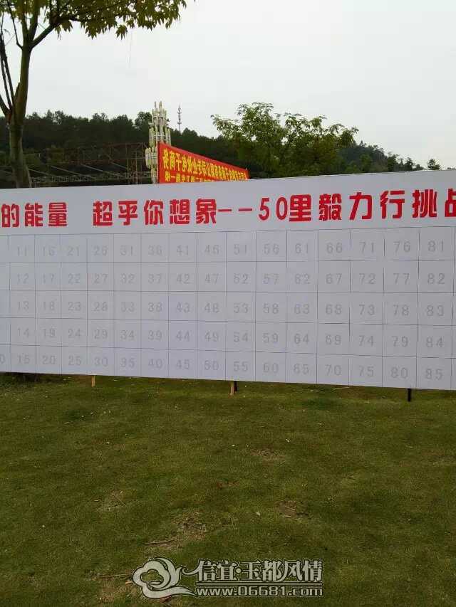 43243453.jpg