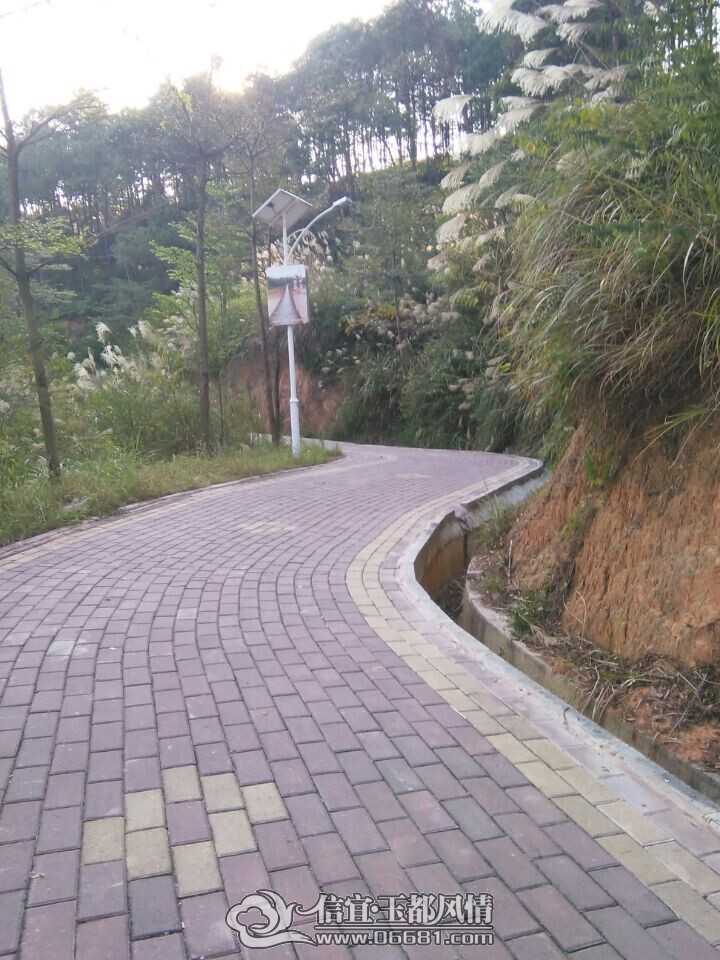 m18.jpg