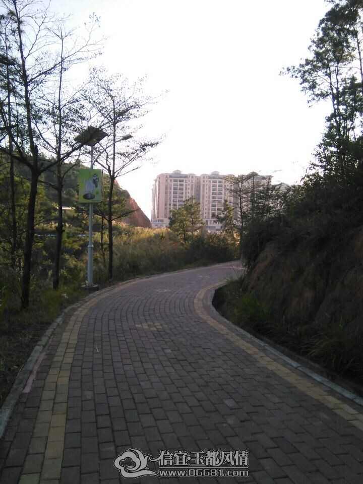 m15.jpg