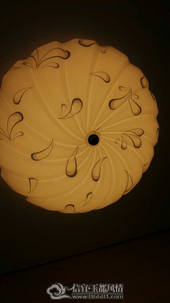 193635jxfqyqo6qa4xqzc5.jpg
