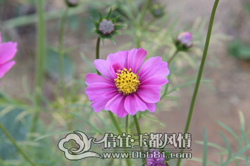 untitled.png031.p233ng.png