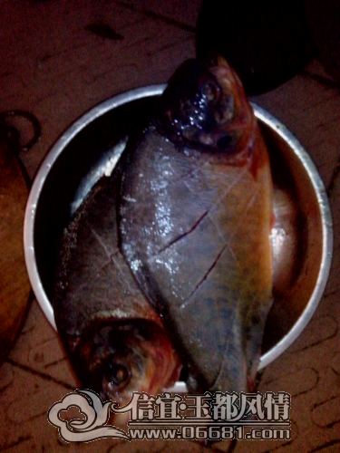 IMG_20150120_120122.jpg