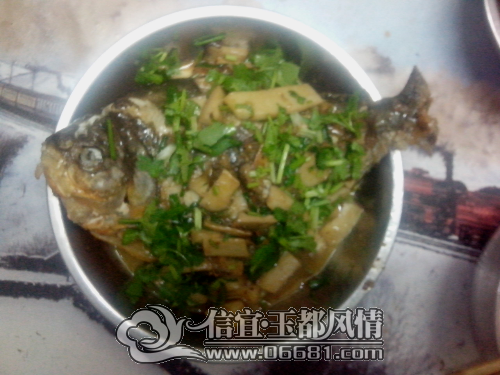 IMG_20150120_122940.jpg