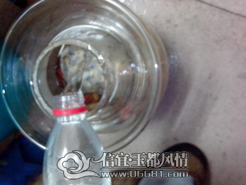 IMG_20150123_104537.jpg