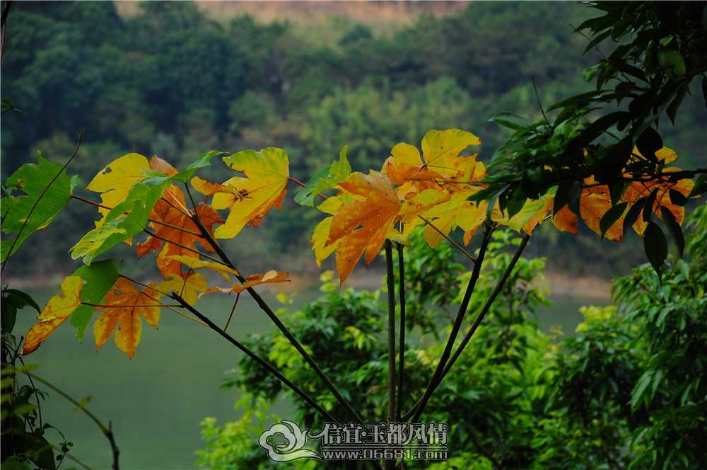 DSC_0026.jpg