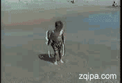 4445013F3B8CF44F067096491C01C955_0x0.gif