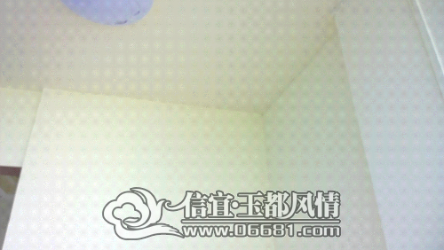 WP_20141104_10_56_36_Pro.jpg