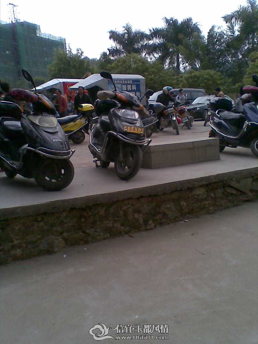 20150128(005).jpg