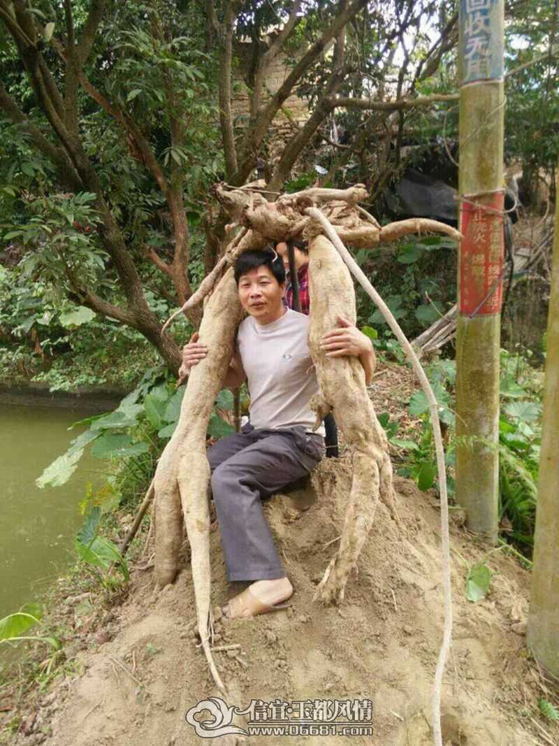 ��������Լ������ڳ��޴��� ��"��"��������
