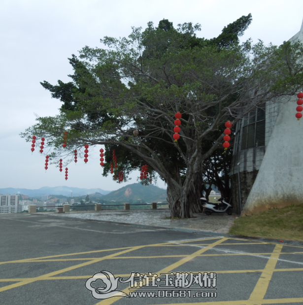 QQ��ͼ20150223185021.png