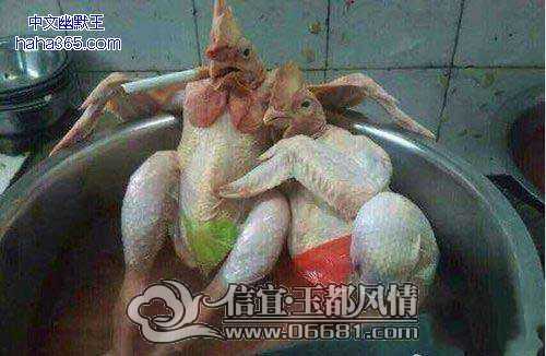 ����.jpg