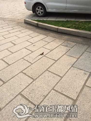 image.jpg