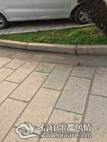 image.jpg