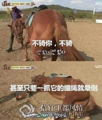 ����͵����1.jpg