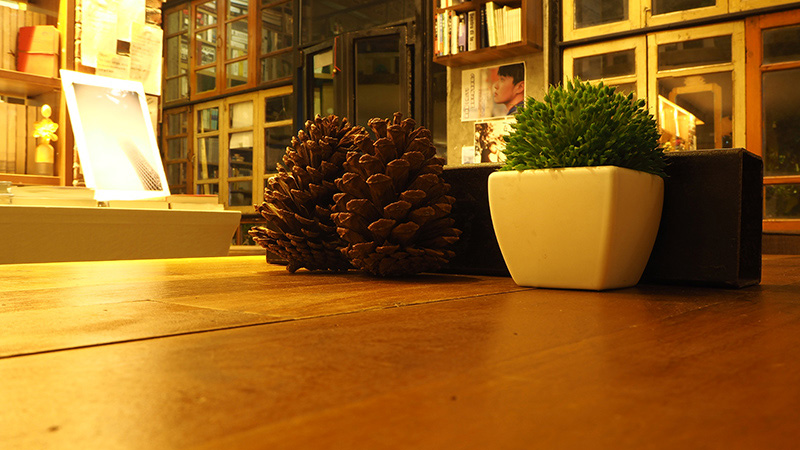 P4042155.JPG