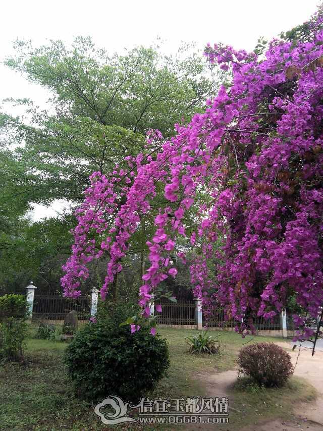 IMG_0711.JPG