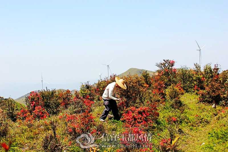 IMG_4702_conew1.JPG