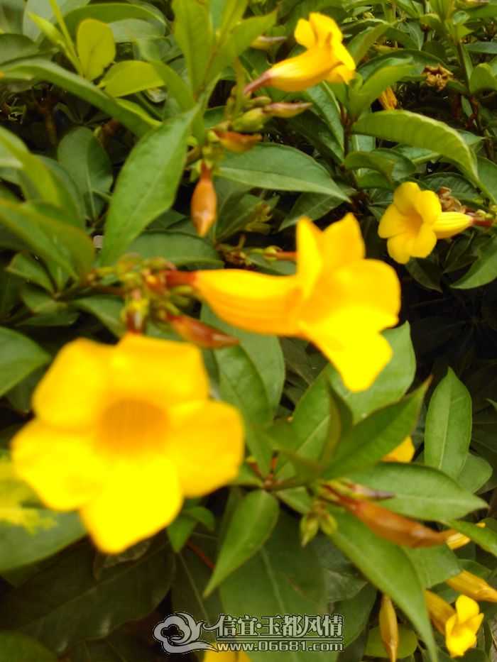 IMG_20150420_072341.jpg