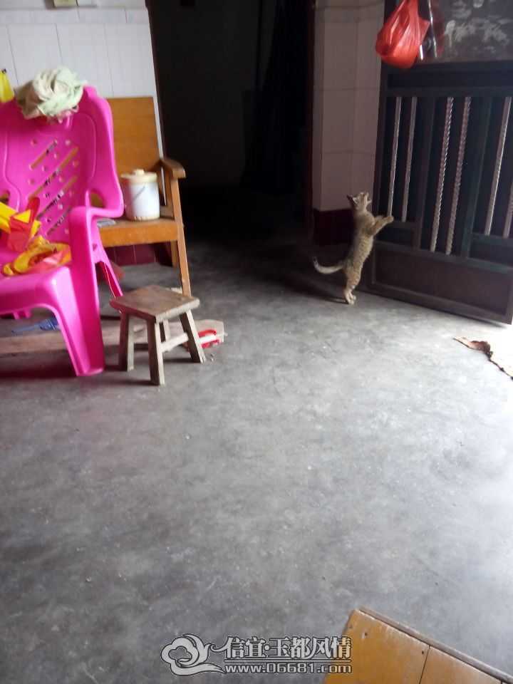 QQͼƬ20150421103810.jpg