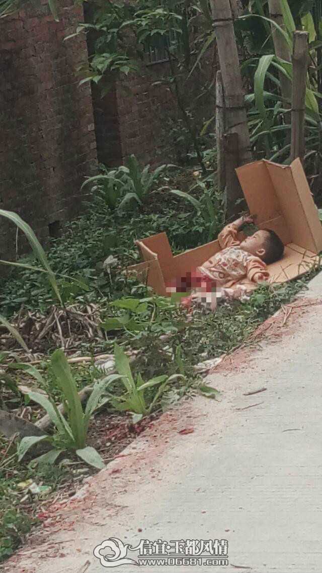 33.jpg