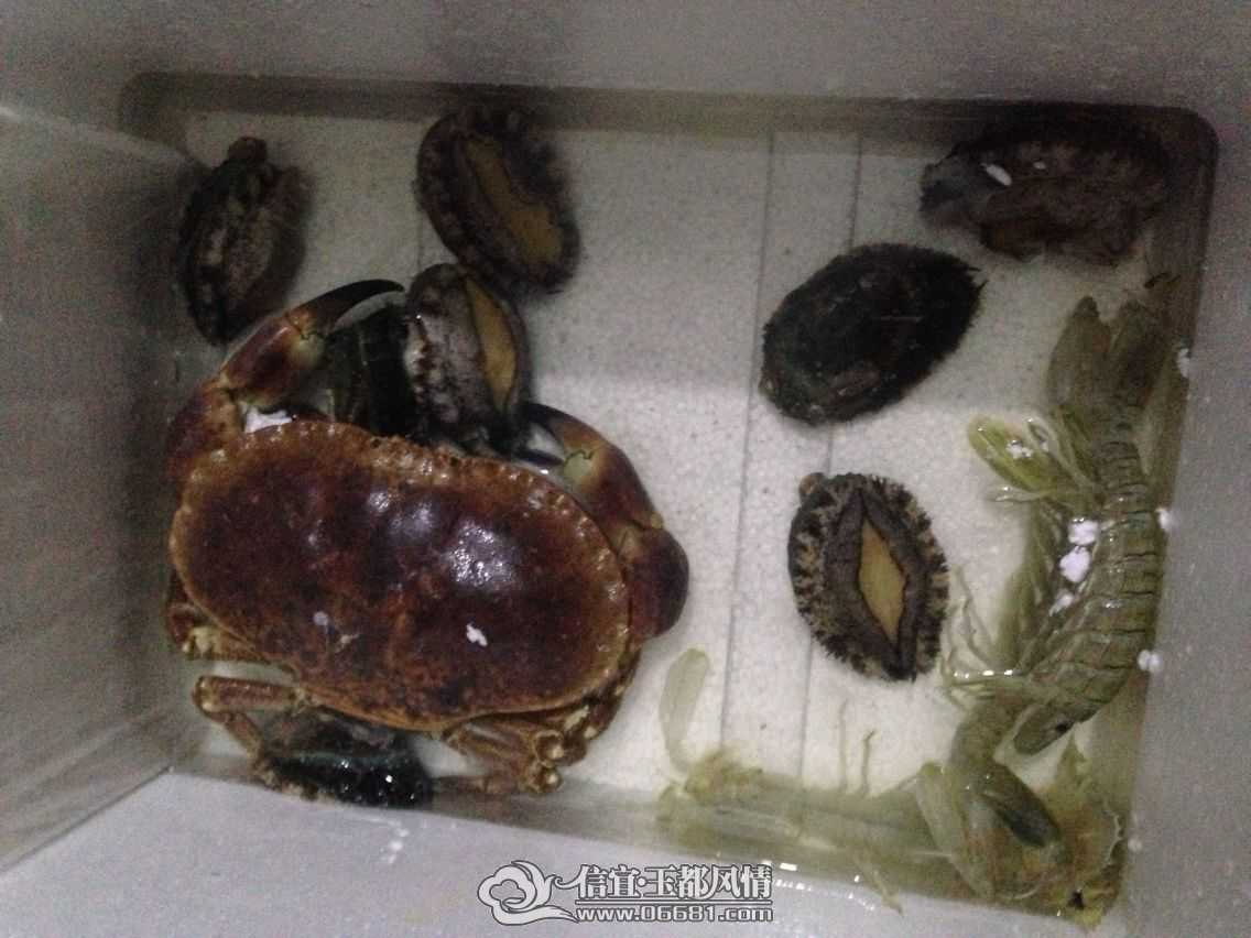 QQͼƬ20150502230010.jpg