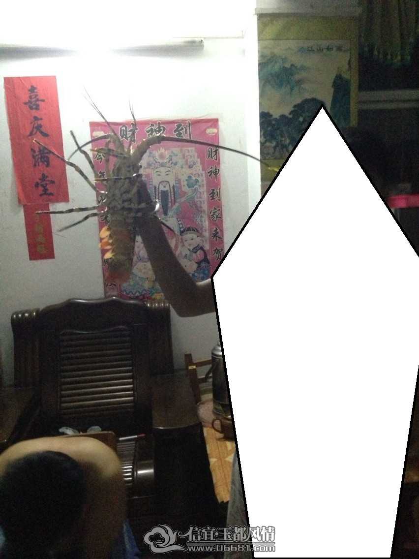 QQͼƬ20150502230023.jpg