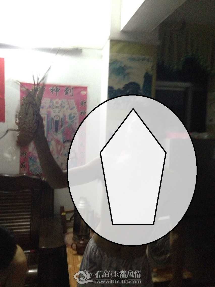 QQͼƬ20150502230034.jpg