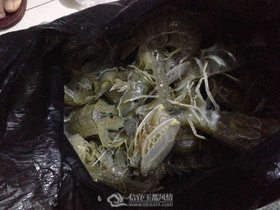 QQͼƬ20150502230032.jpg