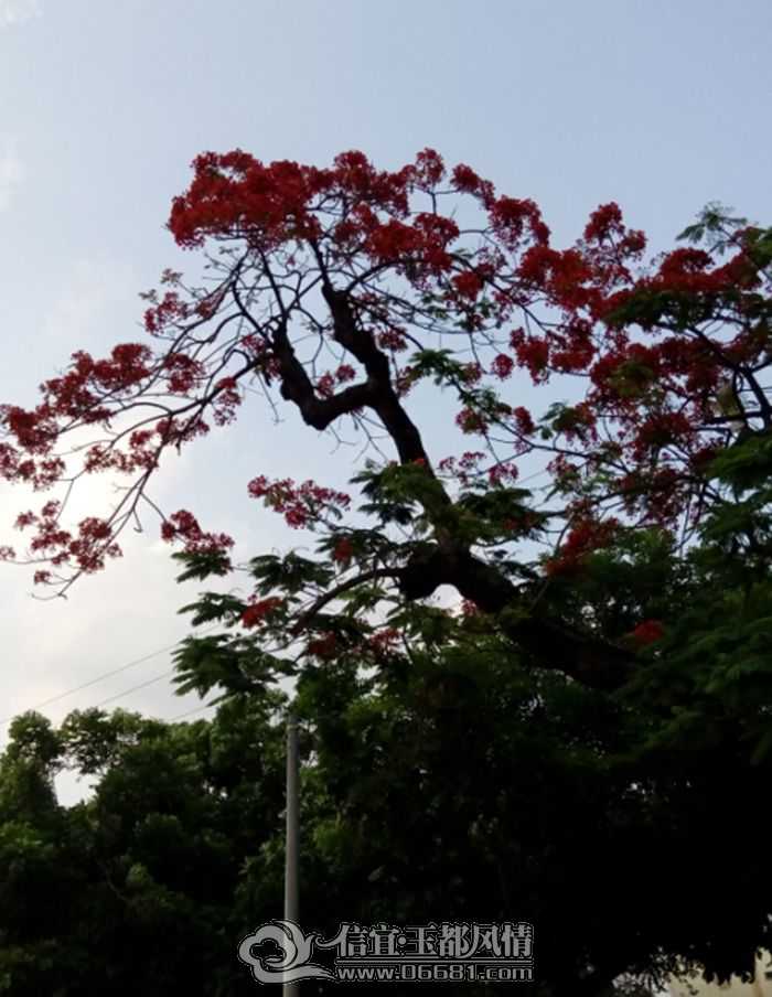 ��˻����ַ�.jpg