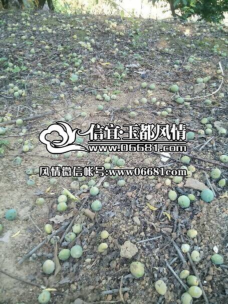 QQͼƬ20150510220027.jpg