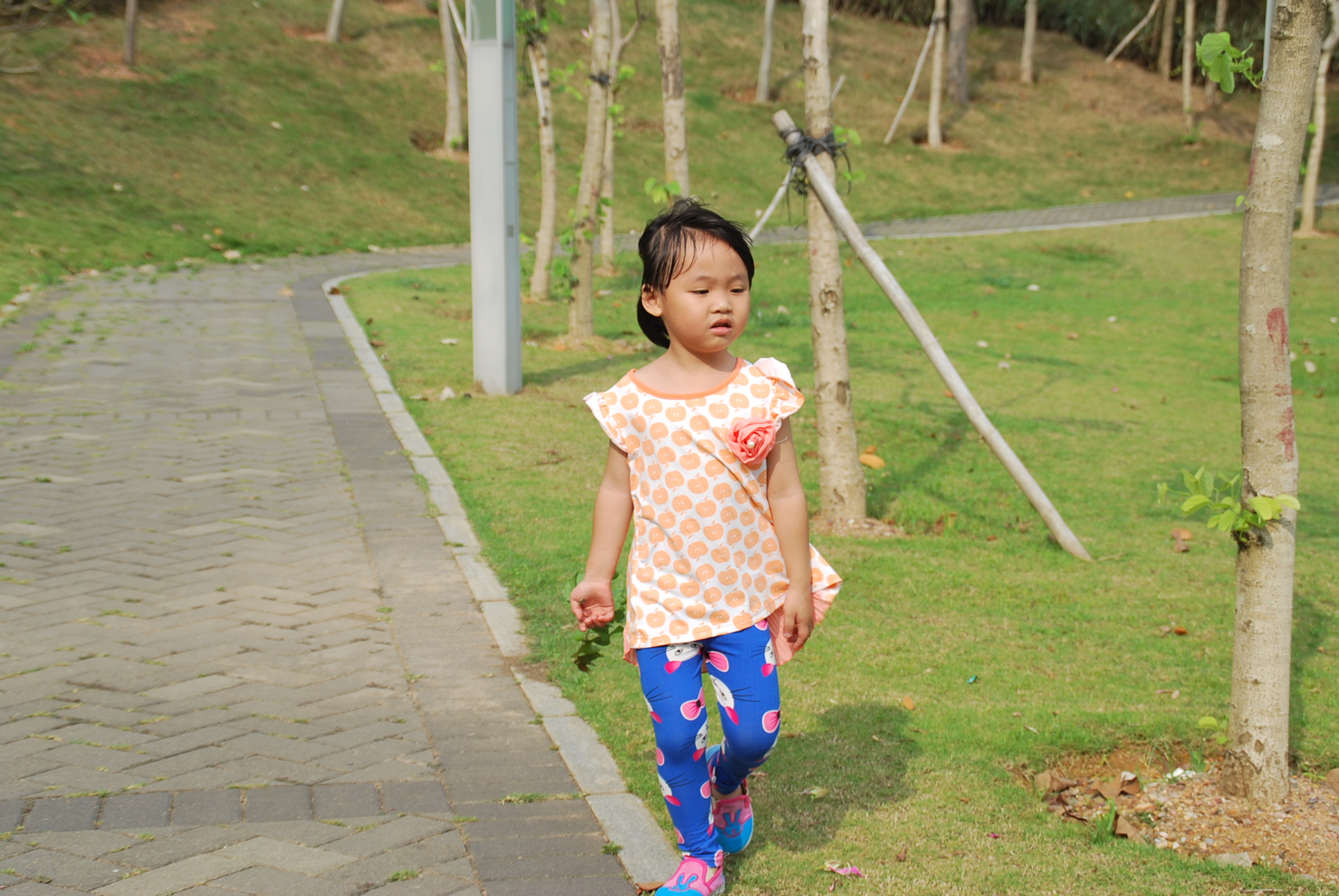 DSC_6050.JPG