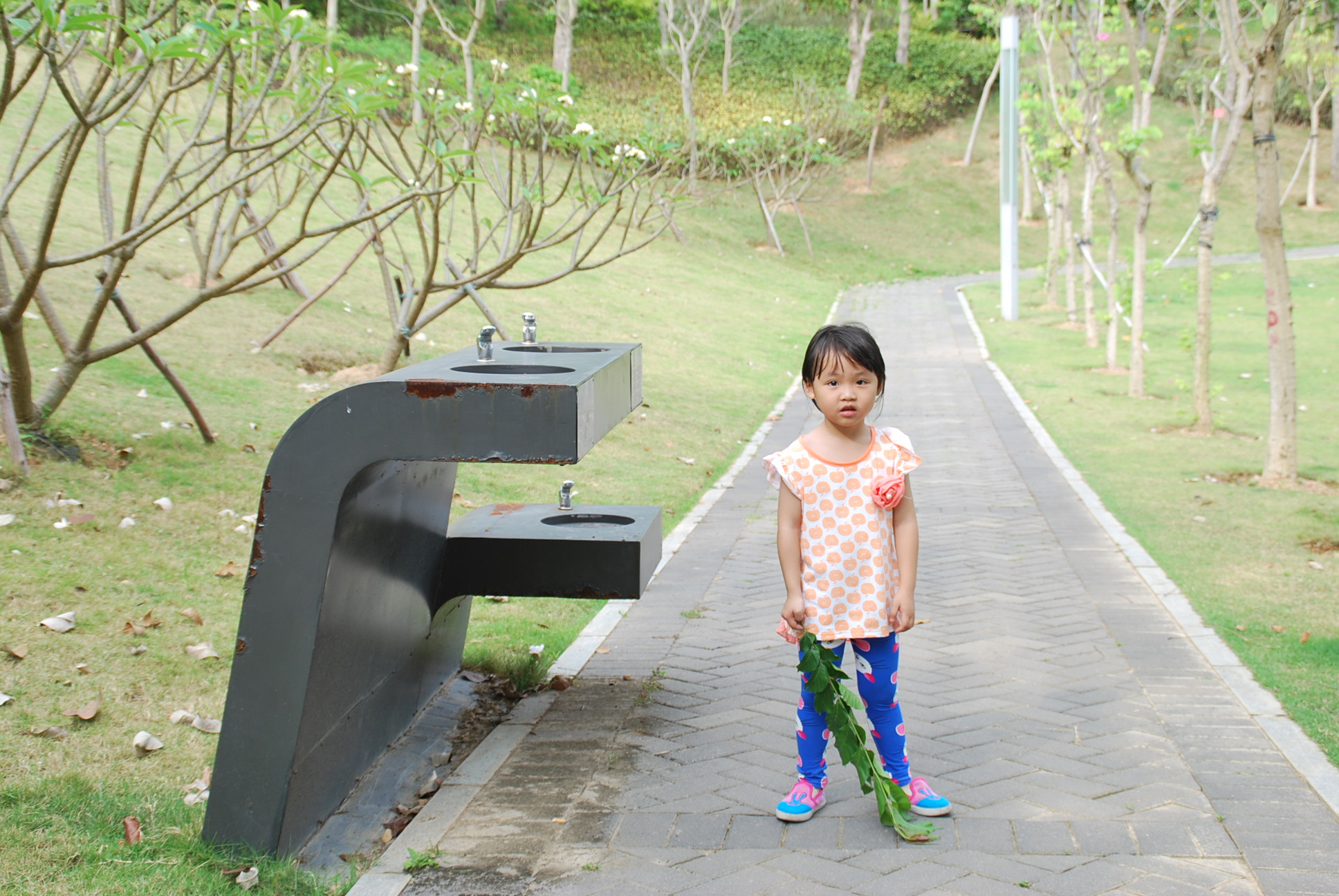 DSC_6051.JPG