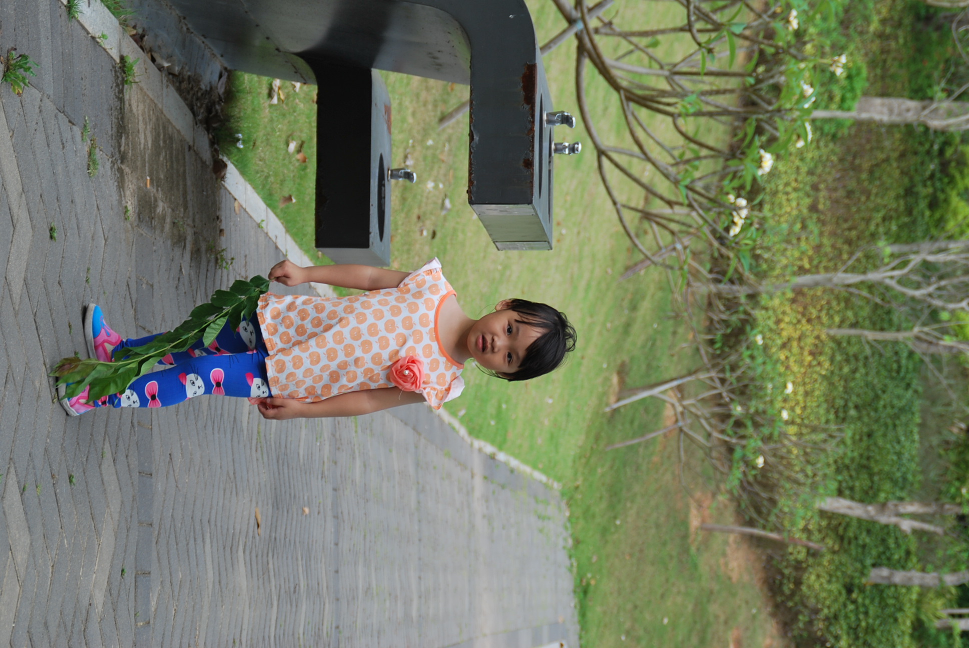 DSC_6052.JPG