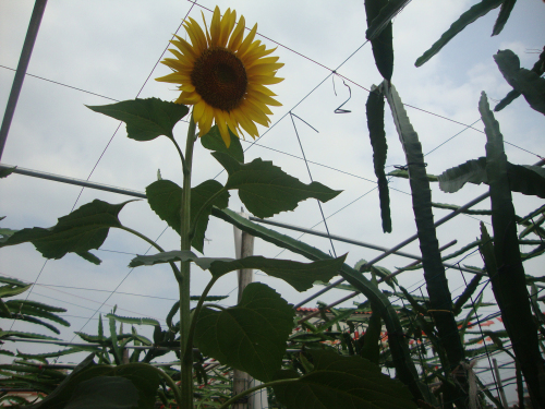 DSC09826.jpg