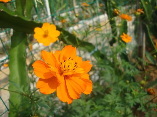 DSC09833.jpg