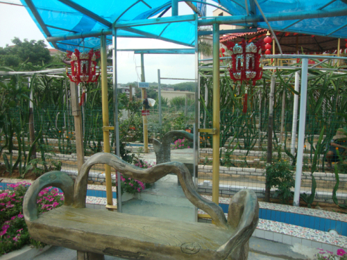 DSC09859.jpg