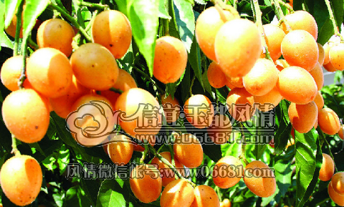 QQ��ͼ20150512084640.png