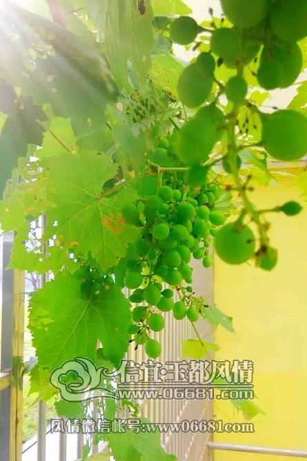 QQ��ͼ20150512090956.png