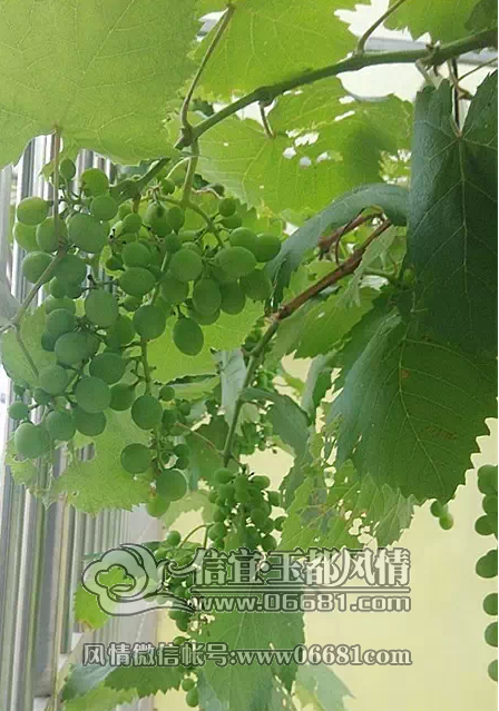 QQ��ͼ20150512091006.png
