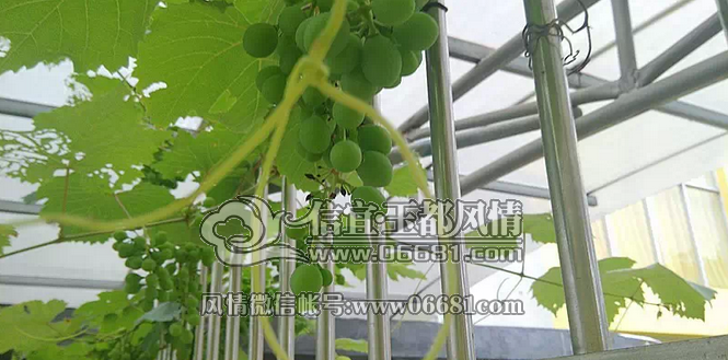 QQ��ͼ20150512091031.png