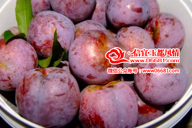 QQ��ͼ20150521085459.png