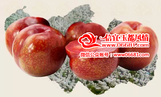 QQ��ͼ20150521085518.png