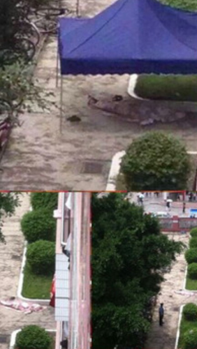 һ�����˼���ѧ����������׹¥���� ���������ܣ�