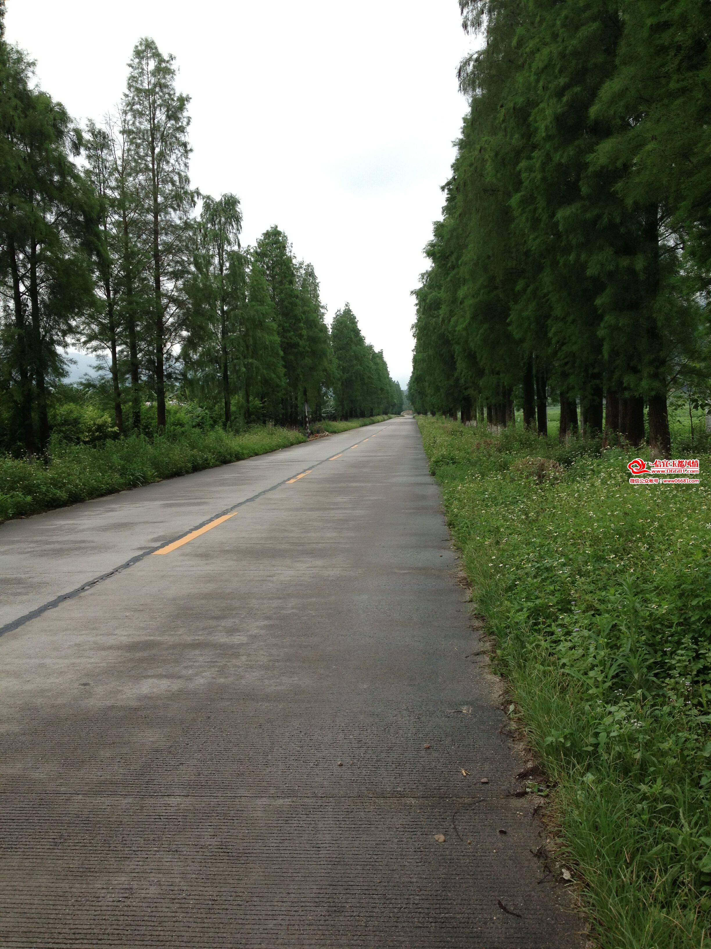 QQͼƬ20150522183749.jpg