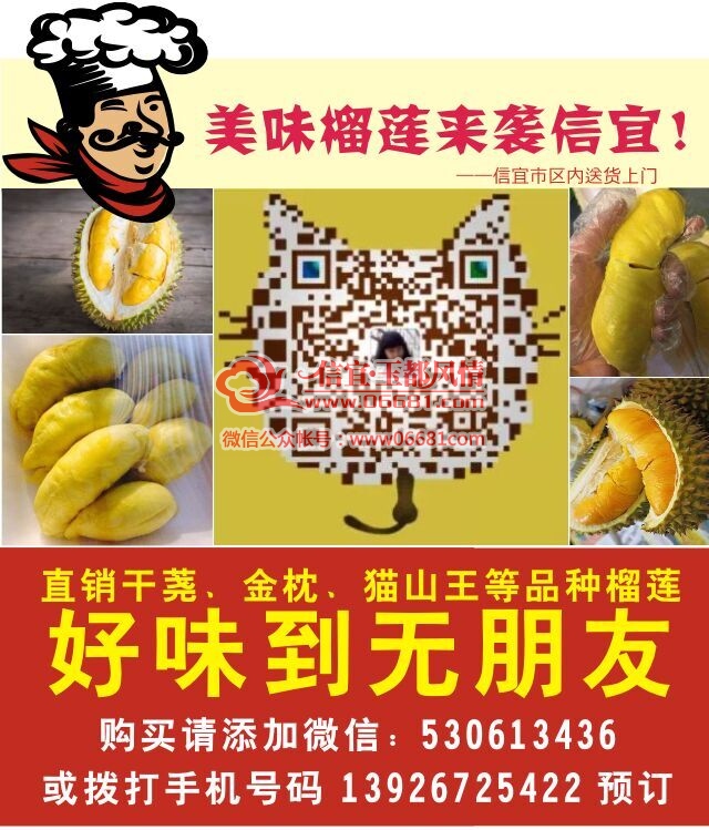 225339bkv73xv11wwv5314.jpg