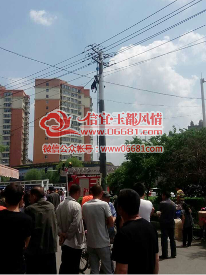 QQ��ͼ20150527173726.png