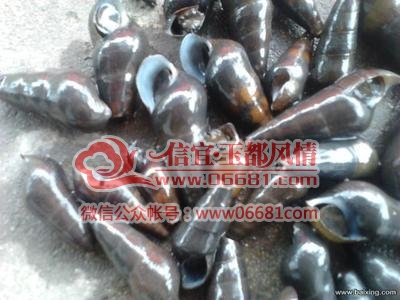 t01e5660d907635d0aa.jpg