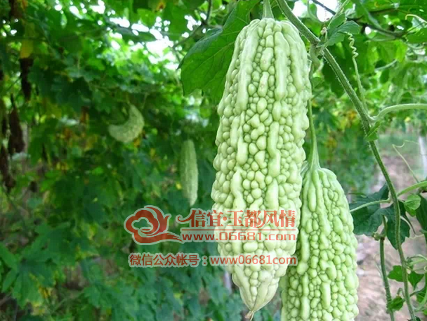 QQ��ͼ20150602105515.png