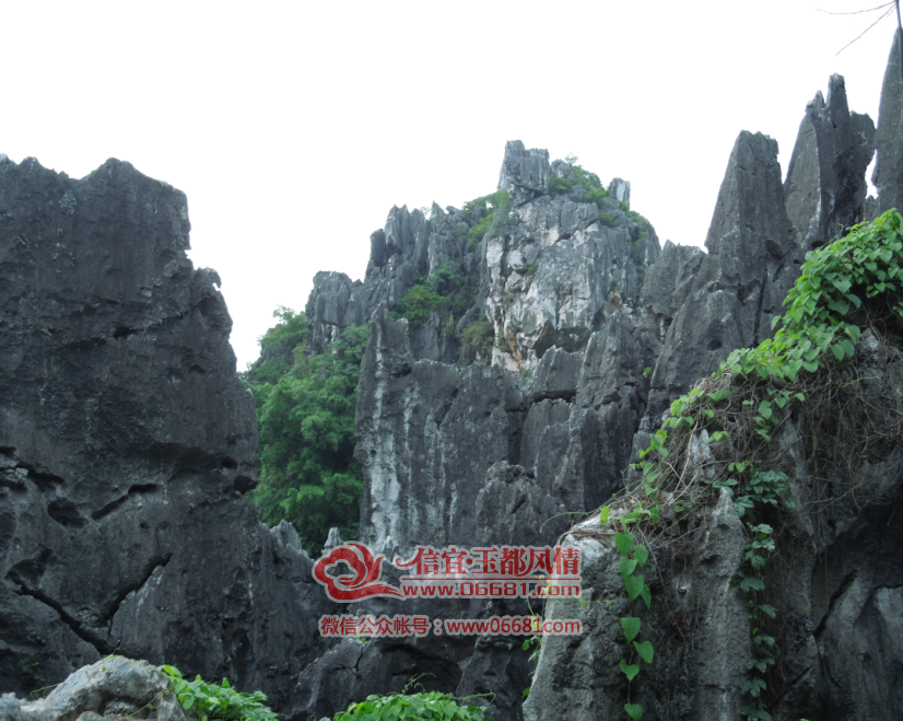QQ��ͼ20150605091022.png