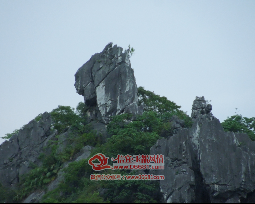 QQ��ͼ20150605091320.png